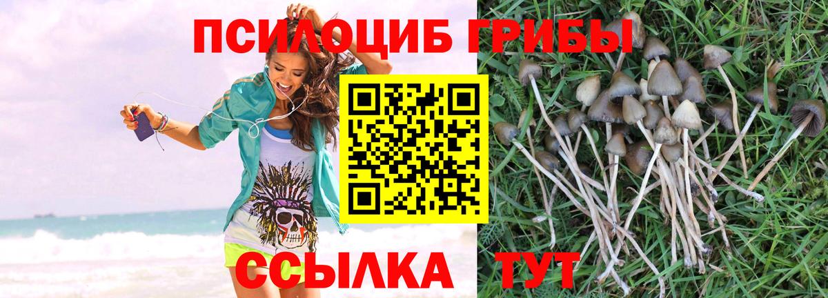 Псилоцибиновые грибы Magic Shrooms Череповец