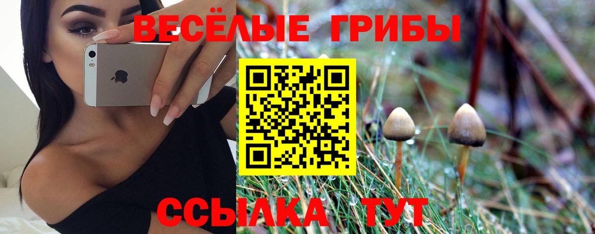 Череповец  Галлюциногенные грибы Magic Shrooms  Вход с VPN 